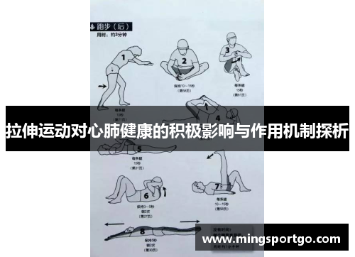 拉伸运动对心肺健康的积极影响与作用机制探析