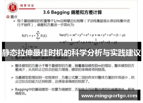 静态拉伸最佳时机的科学分析与实践建议