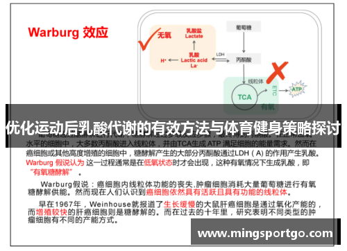 优化运动后乳酸代谢的有效方法与体育健身策略探讨
